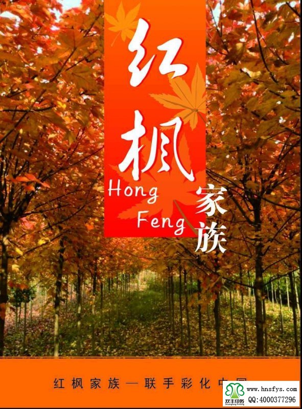 河南印刷廠(chǎng):紅楓家族 宣傳畫(huà)冊(cè)