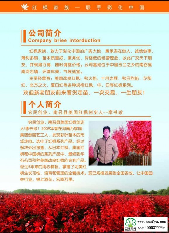 河南印刷廠(chǎng):紅楓家族 宣傳畫(huà)冊(cè)