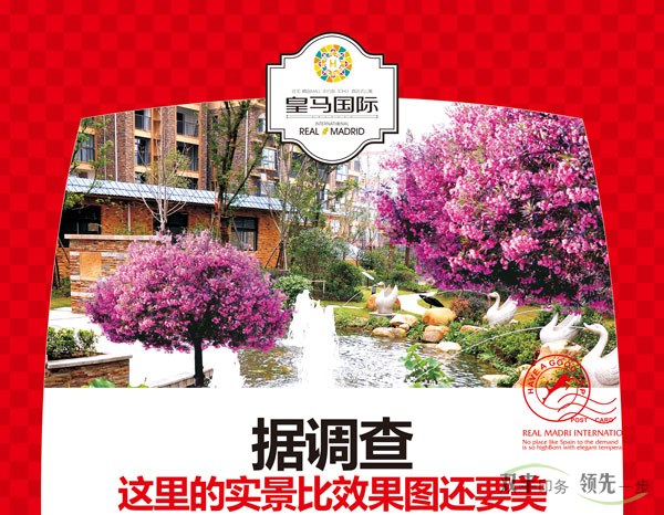 雙豐印務(wù)優(yōu)秀客戶(hù)之皇馬國(guó)際