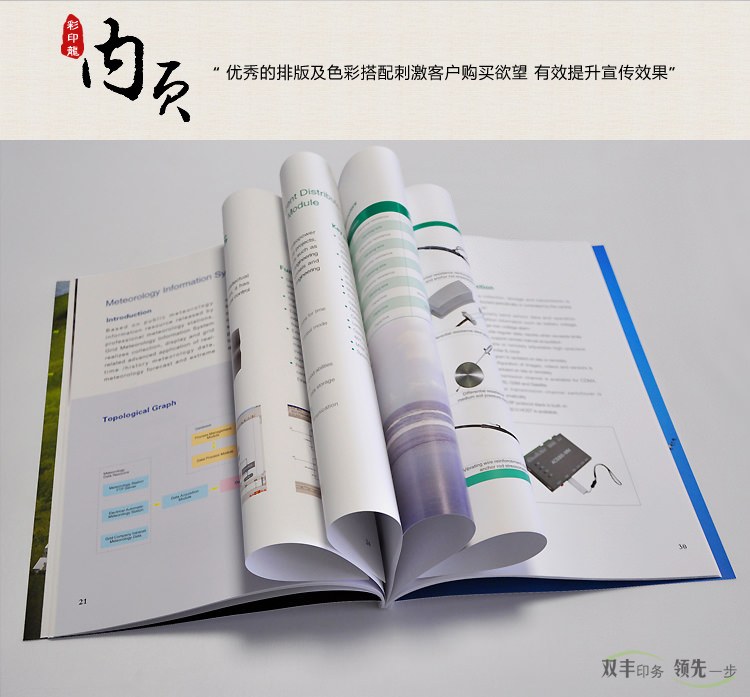 內(nèi)頁：優(yōu)秀的排版及色彩搭配刺激客戶購買欲望，有效提升宣傳效果