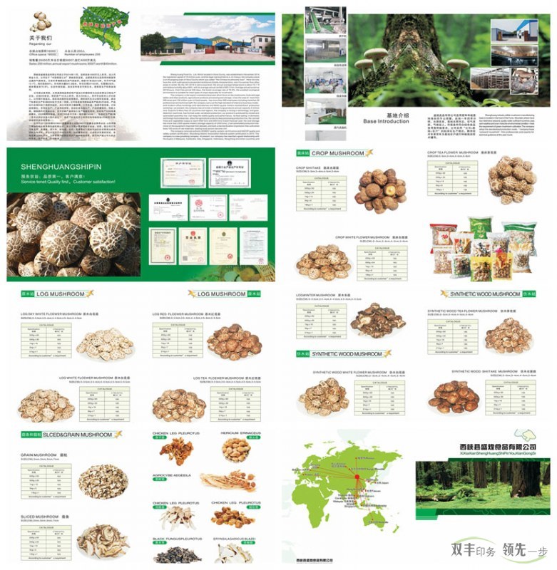 食品企業(yè)產(chǎn)品畫(huà)冊(cè)印刷盛煌食品食用菌畫(huà)冊(cè)